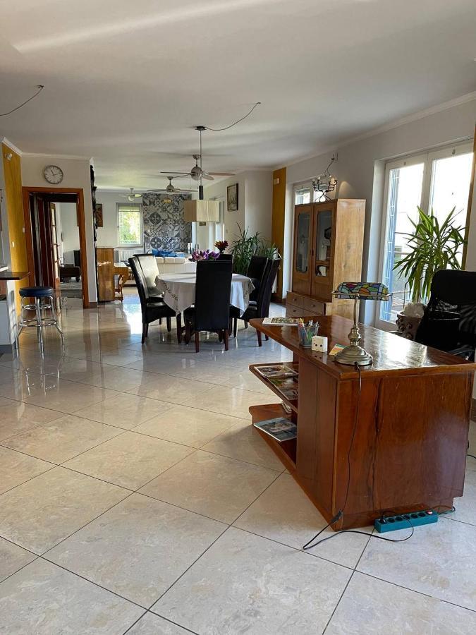 Rosehill Garden Family Villa With A Great Budapest View المظهر الخارجي الصورة