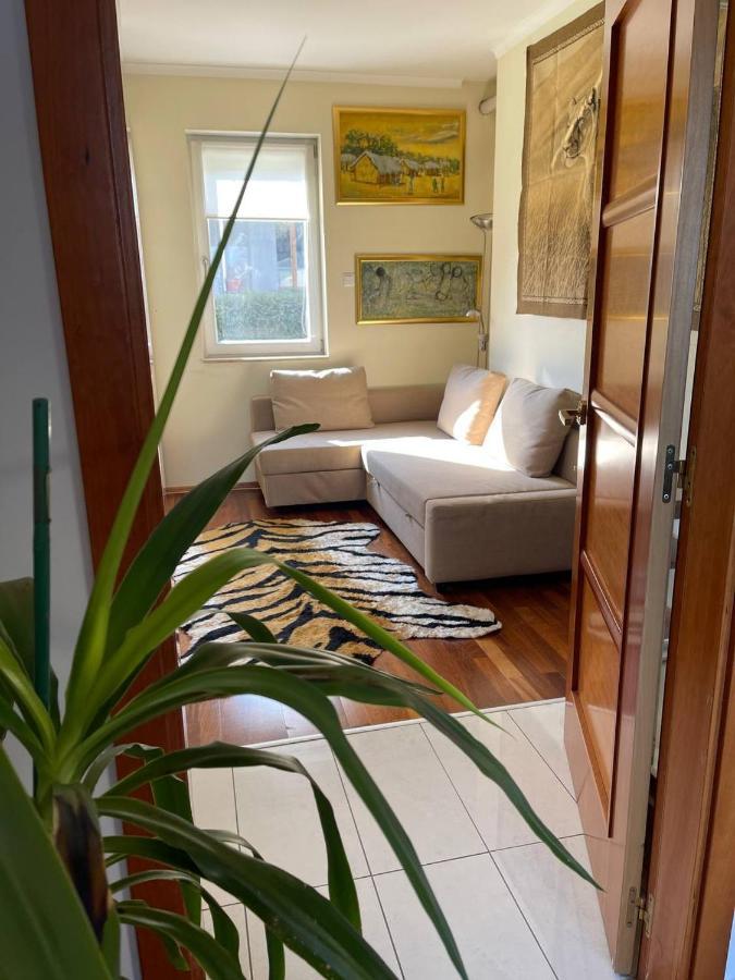 Rosehill Garden Family Villa With A Great Budapest View المظهر الخارجي الصورة