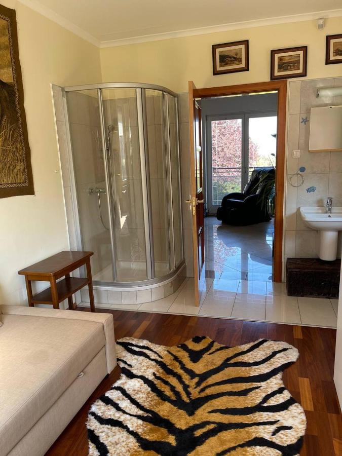 Rosehill Garden Family Villa With A Great Budapest View المظهر الخارجي الصورة