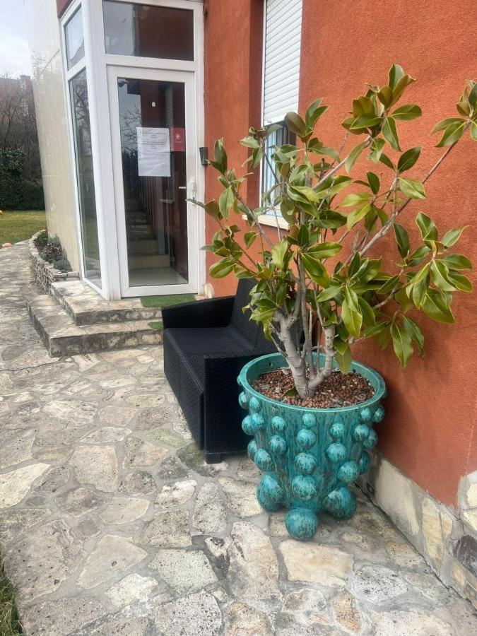 Rosehill Garden Family Villa With A Great Budapest View المظهر الخارجي الصورة